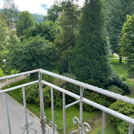 Apartments Badallee 4 Bad Schandau Exterior photo